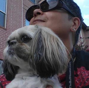 Meet your Posher, Millie